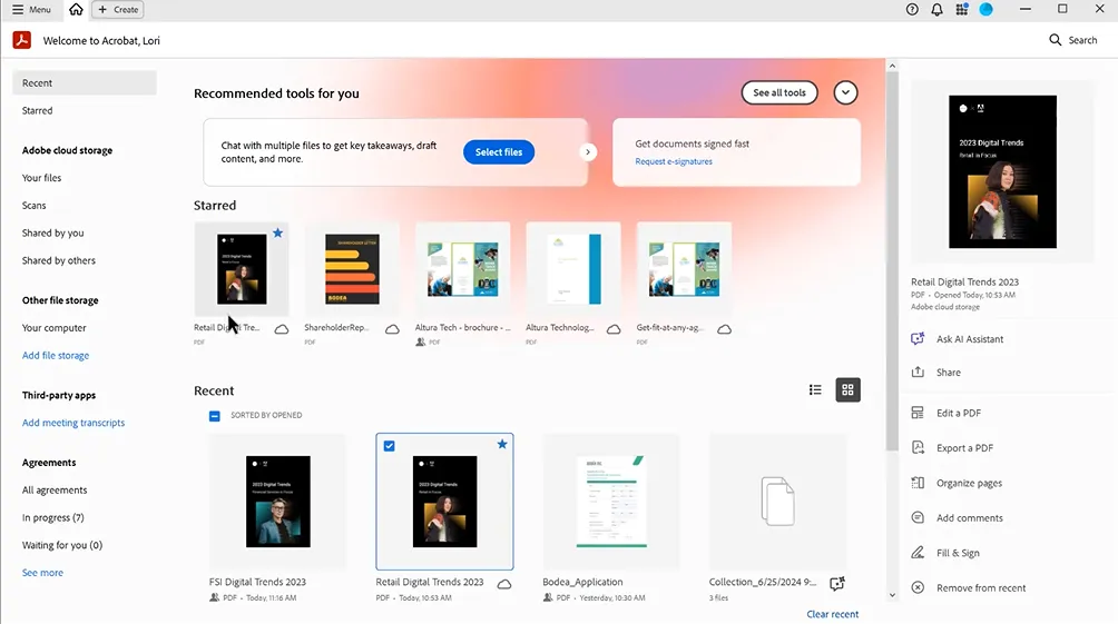Adobe Acrobat Pro 2025 workspace screenshot