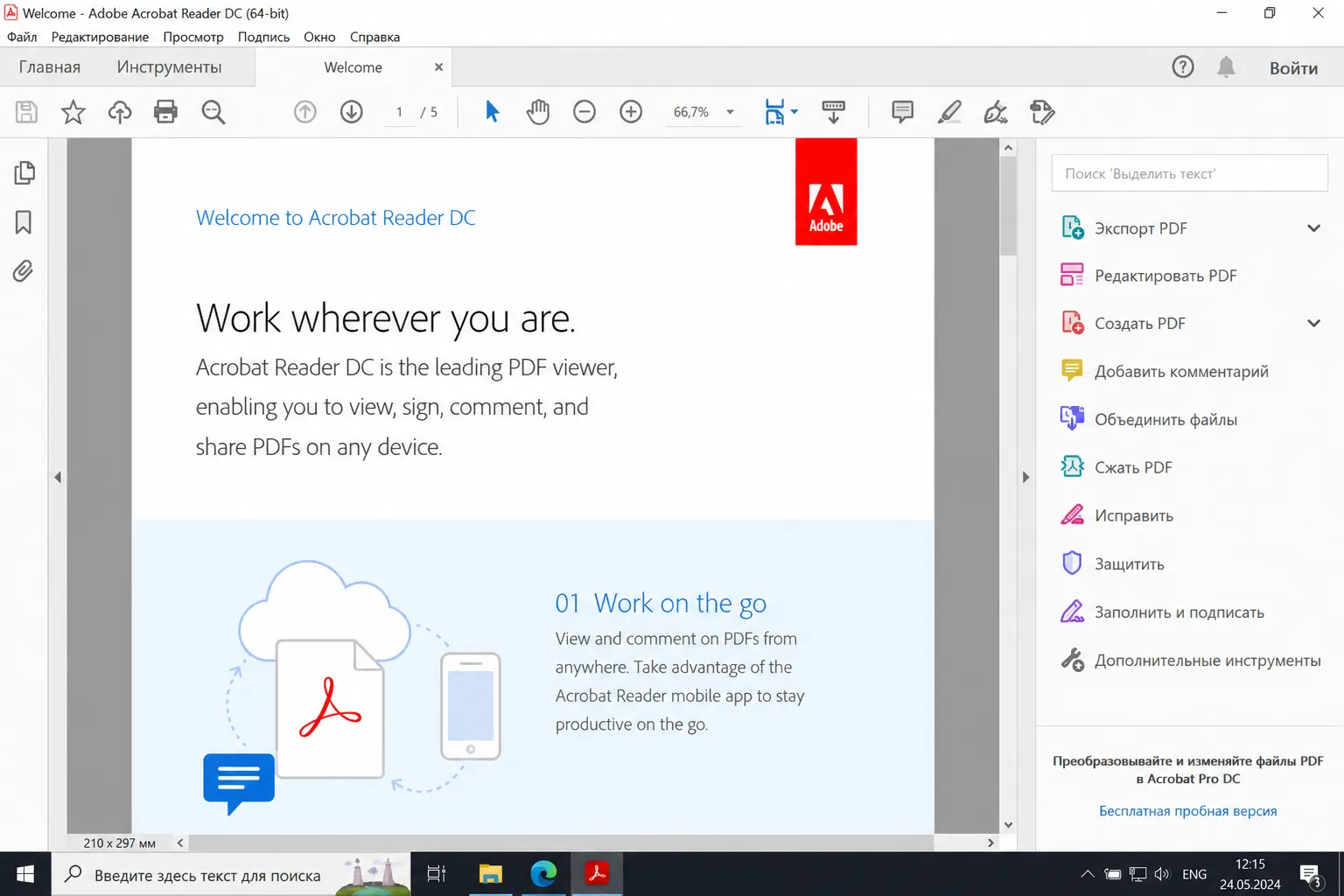 Adobe Acrobat Reader DC 2024 workspace screenshot