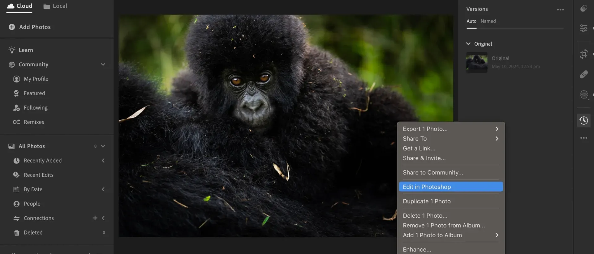 Adobe Lightroom Classic 2024 workspace screenshot