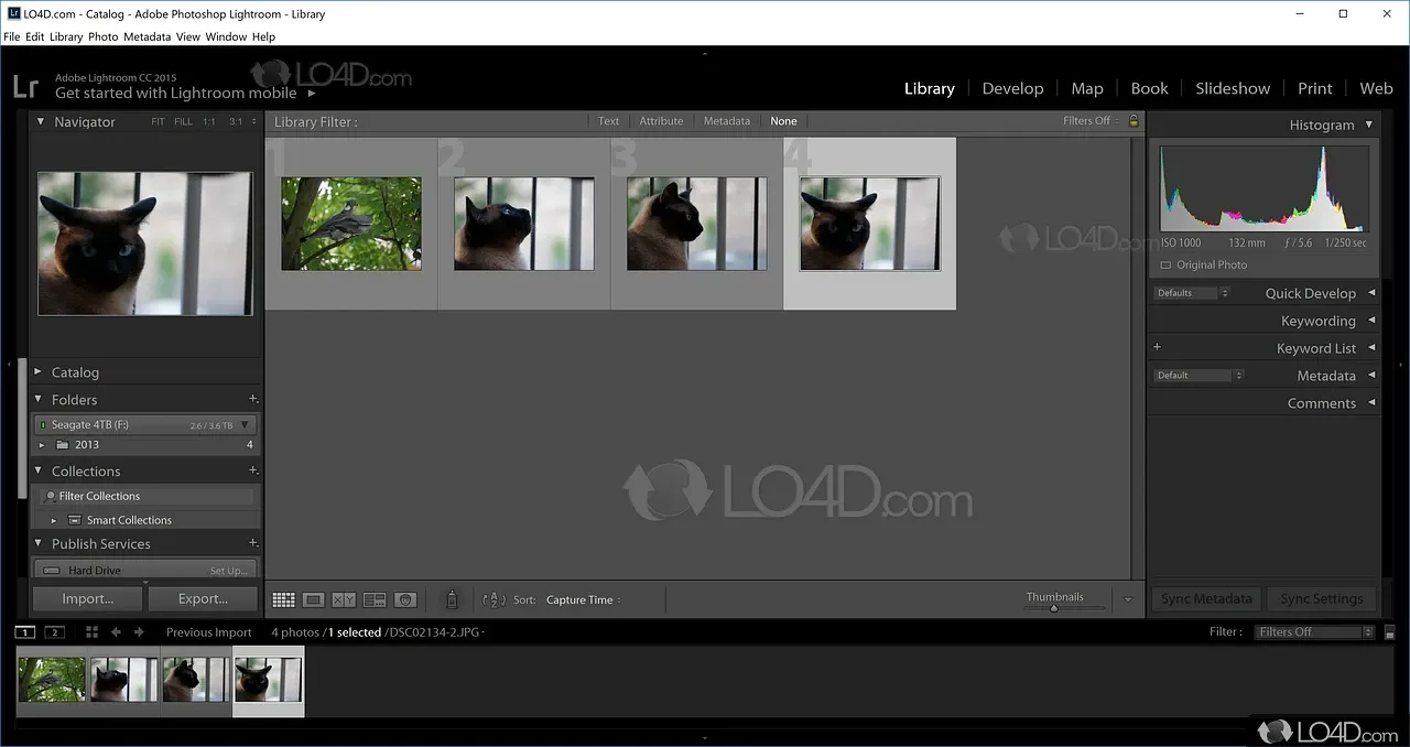 Adobe Lightroom Classic 2025 project screenshot
