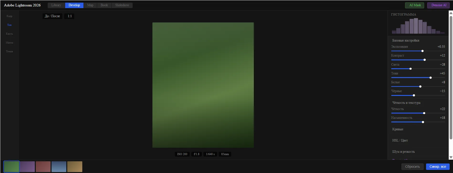 Adobe Lightroom Classic 2026 project screenshot