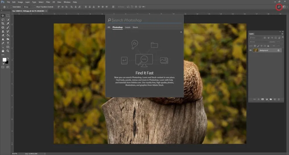 Adobe Photoshop 2017 project screenshot