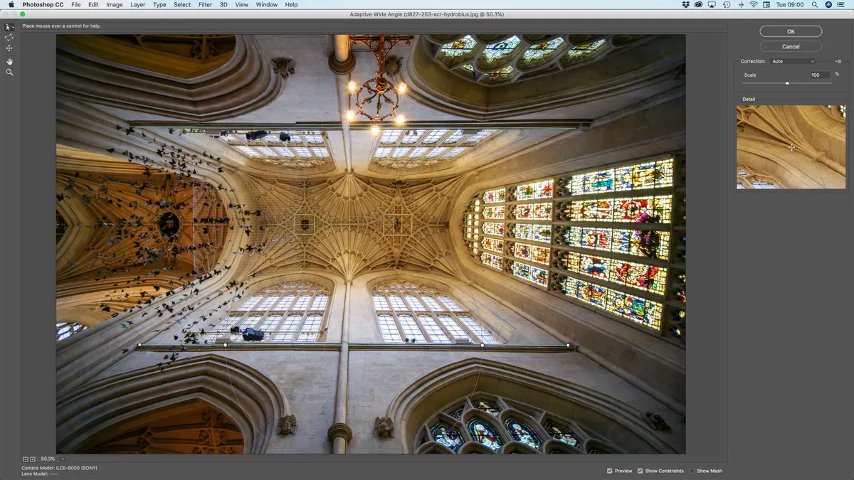 Adobe Photoshop 2019 workspace screenshot