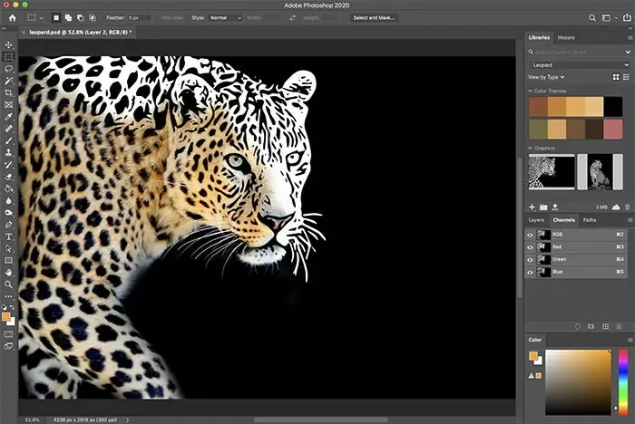 Adobe Photoshop 2020 project screenshot