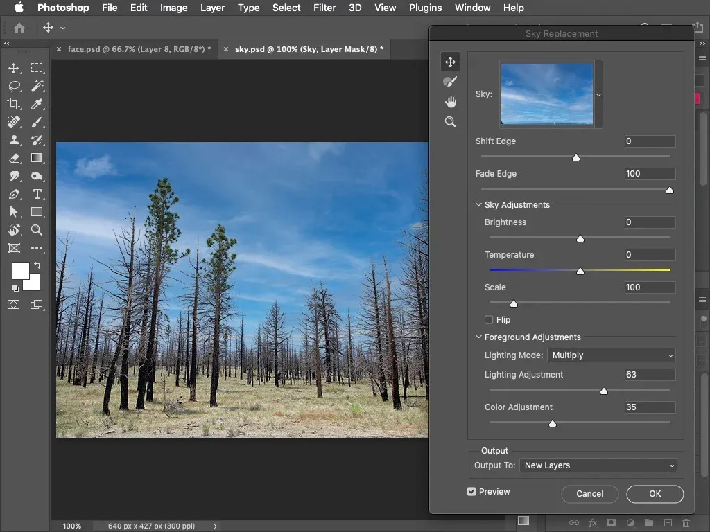Adobe Photoshop 2021 interface screenshot