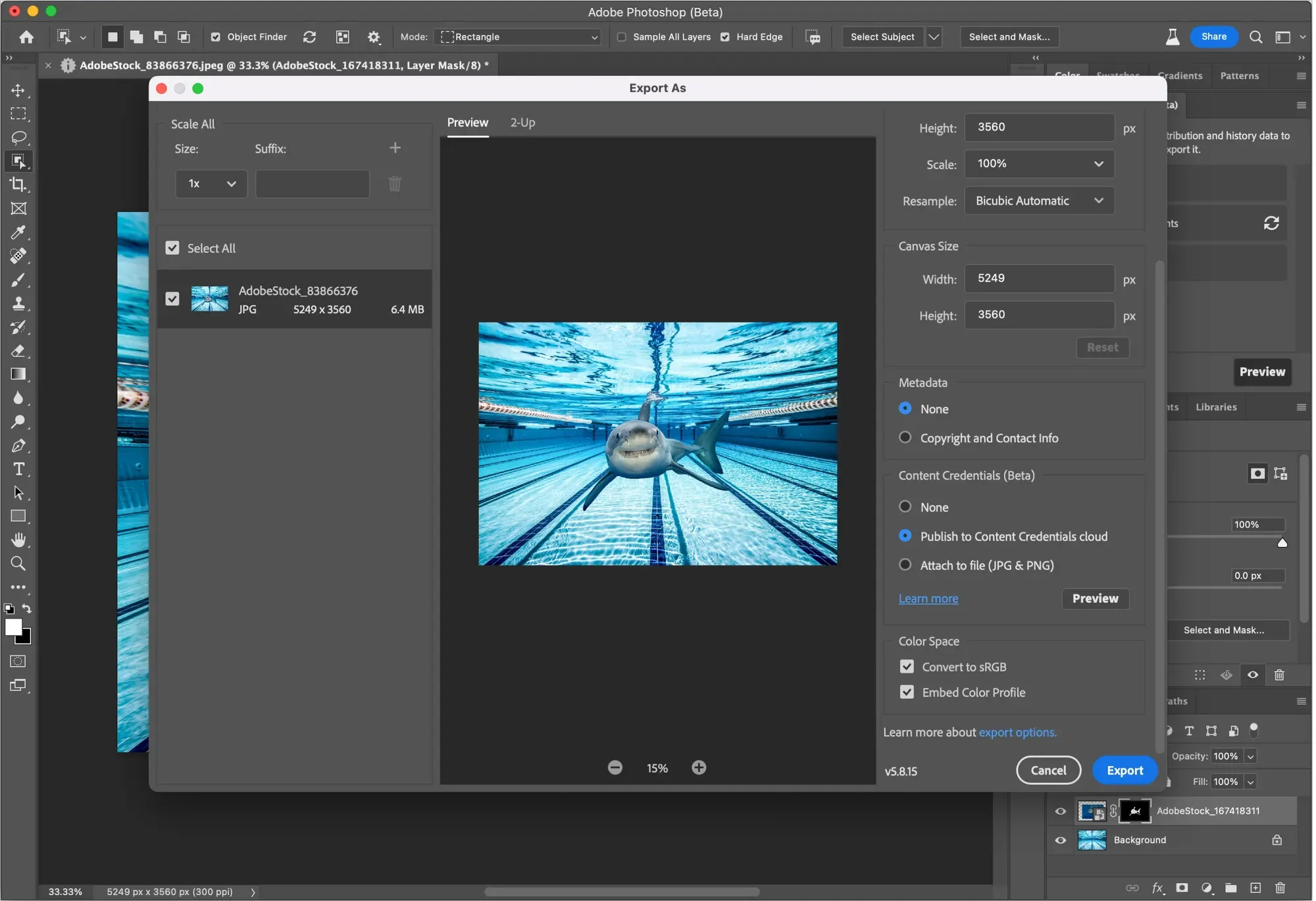 Adobe Photoshop 2022 project screenshot