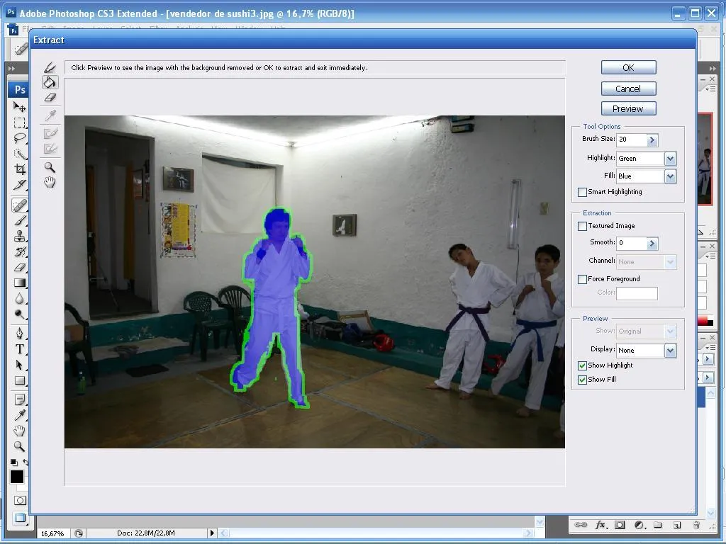 Adobe Photoshop CS3 project screenshot
