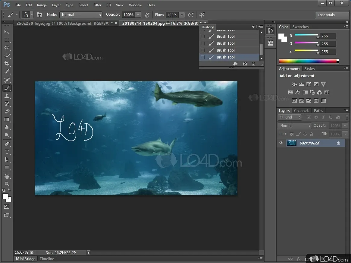 Adobe Photoshop CS5 interface screenshot
